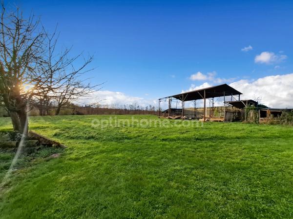 Maison à rénover avec nombreuses dépendances et grand terrain – Espinasse-Vozelle (03)