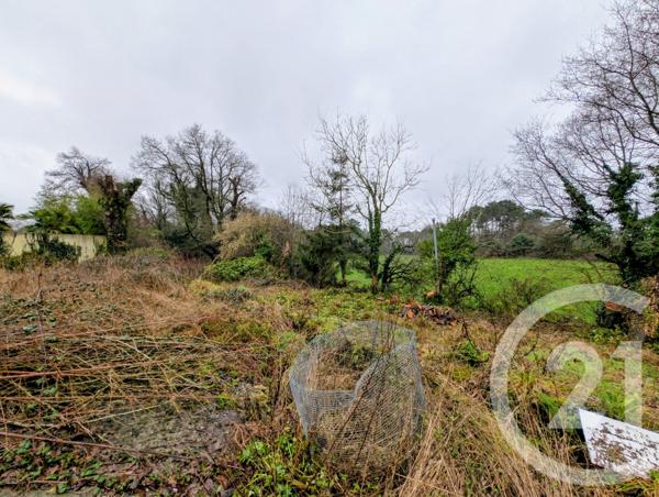 Maison à vendre  3 pièces - 117 m2 PEAULE - 56