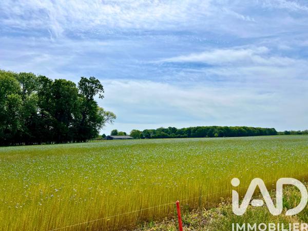 Maison à vendre 5 pièces 113 m² Anneville-Ambourville