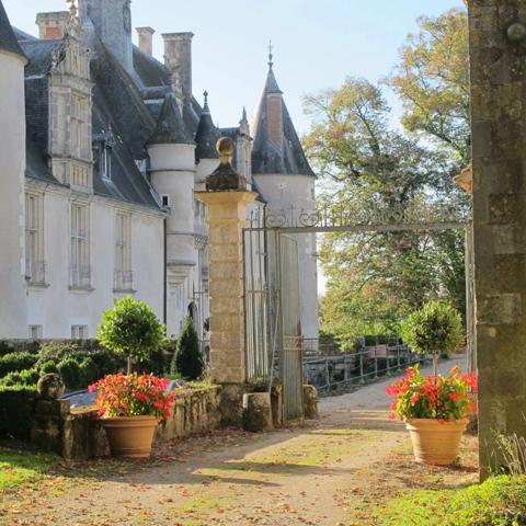 Magnifique château renaissance 43 pièces, nombreuses et remarquables dépendances, 24 hectares de bois et parc d'agrément