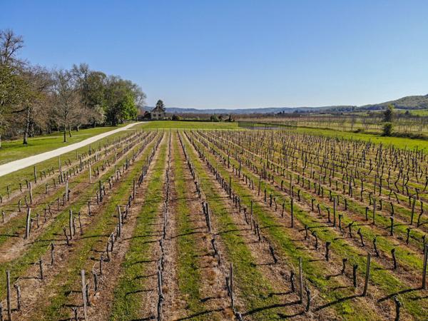 Prayssac (46220) Unique Manoir Ancien au bord du Lot