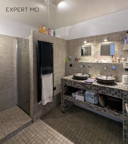 Seyssins (38180) appartement 4 pièces 97 m2