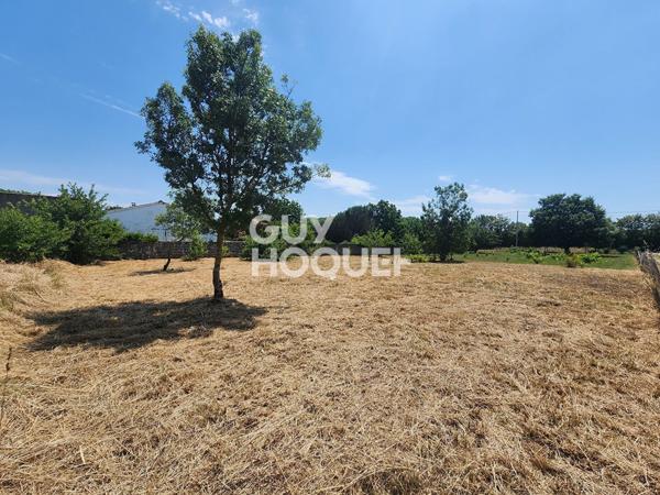 Terrain à vendre de 662 m² à Saint-Georges-d'Oléron - Réf 4336