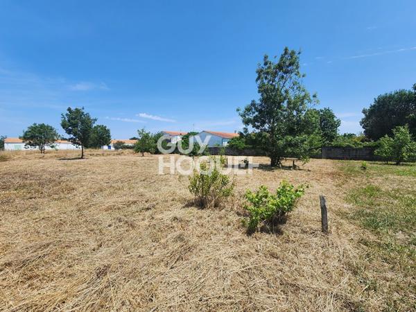 Terrain à vendre de 662 m² à Saint-Georges-d'Oléron - Réf 4336