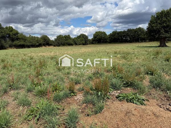 Cette charmante fermette de plain pied avec terrain terrain agricole et plan d'eau.