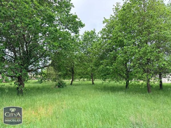 Terrain à vendre Rivière (37500)