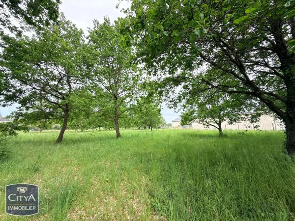 Terrain à vendre Rivière (37500)