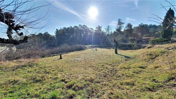 Terrain à vendre    Chambonas