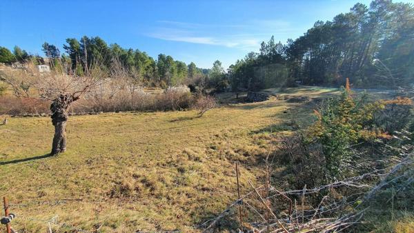 Terrain à vendre    Chambonas