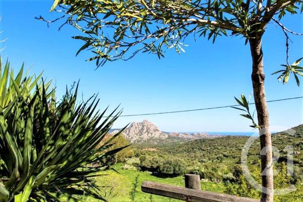 Maison à vendre  12 pièces - 438,96 m2 ST FLORENT - 202