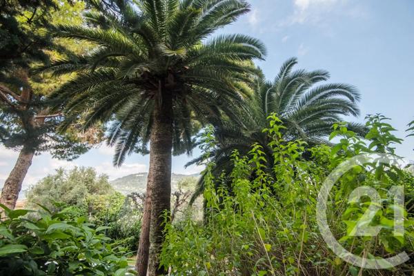 Appartement à vendre  3 pièces - 74,89 m 2   NICE  - 06