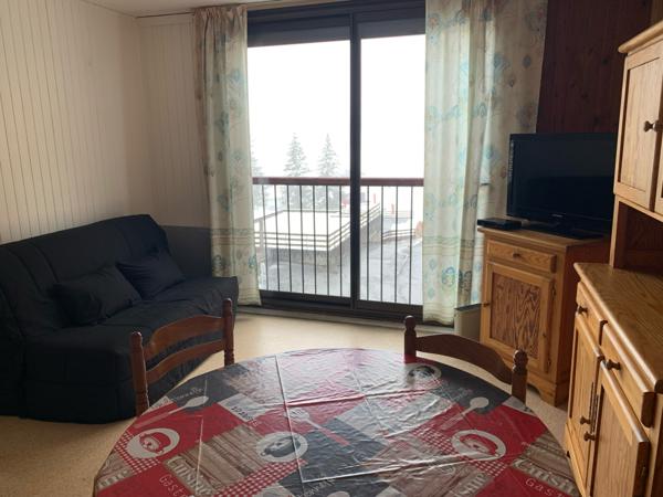 Gouaux-de-Larboust (31110) Appartement T2 trés Lumineux en Station de Ski a PEYRAGUDES (31) limitrophe 65.