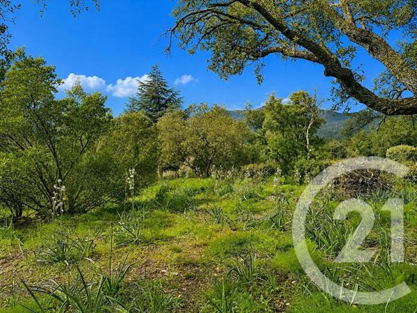 Terrain à vendre  3640 m 2   ZONZA  - 201