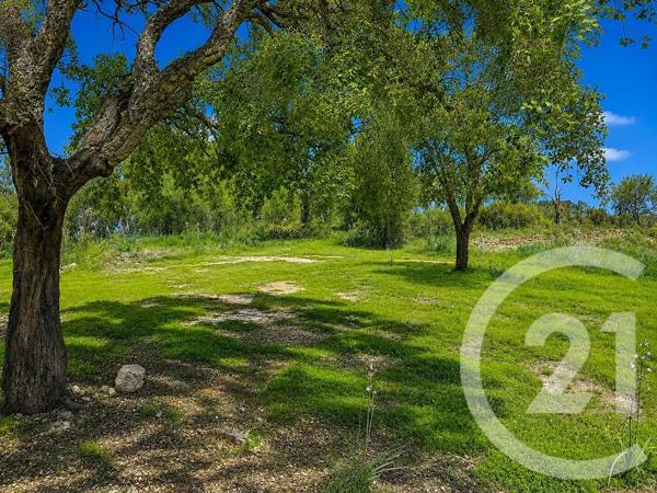Terrain à vendre  3640 m 2   ZONZA  - 201