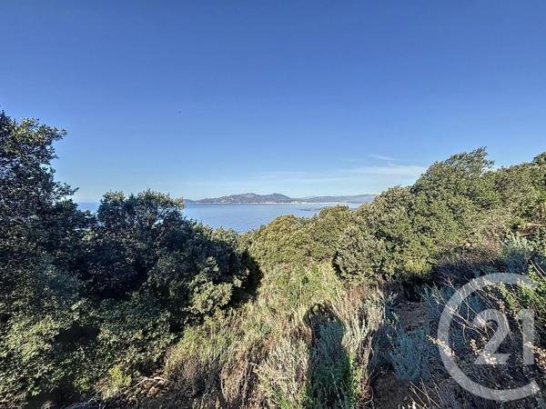 Terrain à vendre  3640 m 2   ZONZA  - 201