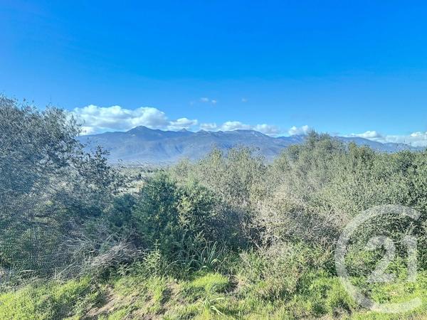 Terrain à vendre  3640 m 2   ZONZA  - 201
