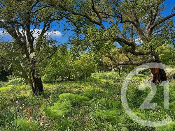 Terrain à vendre  3640 m 2   ZONZA  - 201
