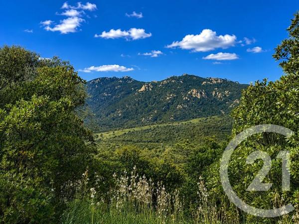 Terrain à vendre  3640 m 2   ZONZA  - 201