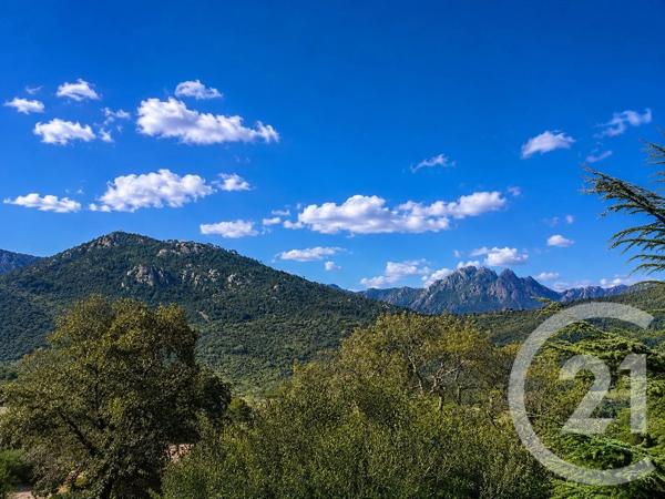 Terrain à vendre  3640 m 2   ZONZA  - 201