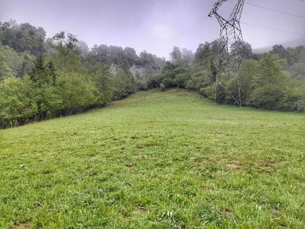 Deux granges à rénover dans les montagnes Ossaloises