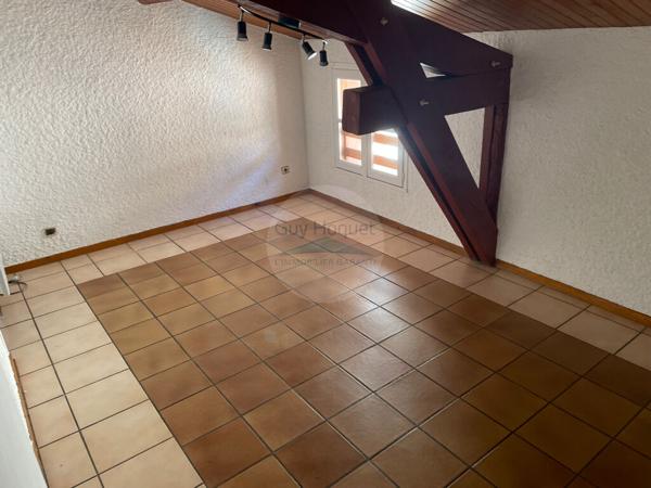 VILLEMUR SUR TARN - appartement T1 centre-ville