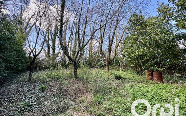 Terrain à vendre    Coulogne