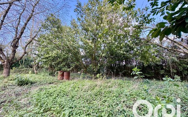 Terrain à vendre    Coulogne