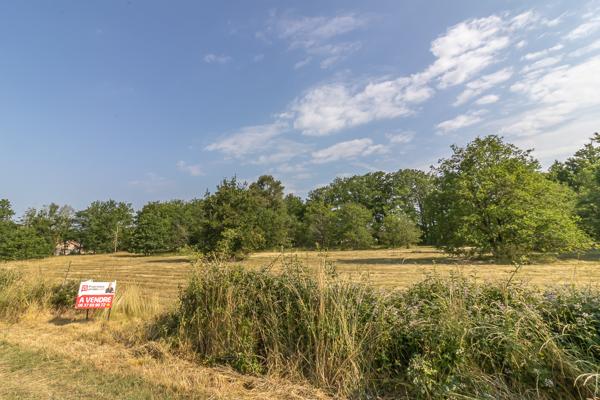 Terrain La Ferte Imbault 3565 m2
