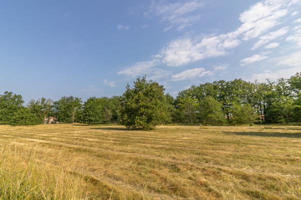 Terrain La Ferte Imbault 3565 m2