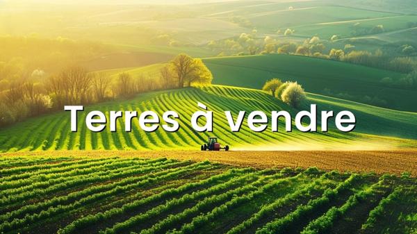 TERRES AGRICOLES - PROCHES CENTRE-VILLE - 18 HA