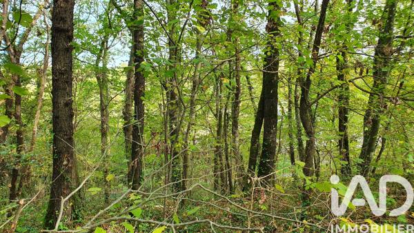 Terrain à vendre 606 m² Moret-Loing-et-Orvanne
