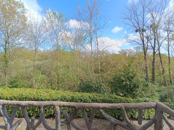 29520 Châteauneuf du Faou maison au calme, sans vis à vis 6 chambres 9500 m² de terrain