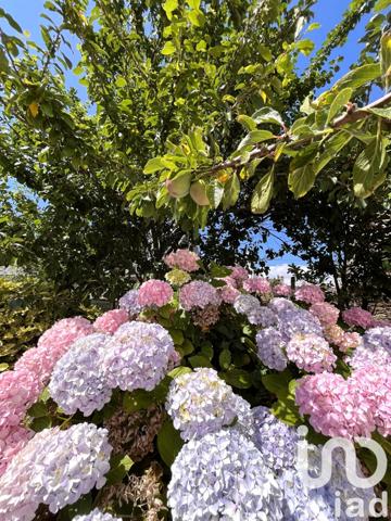 Maison à vendre 3 pièces 50 m² Groix