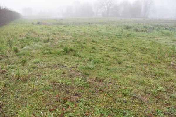 Dpt Deux Sèvres (79), à vendre COURLAY terrain constructible en parti