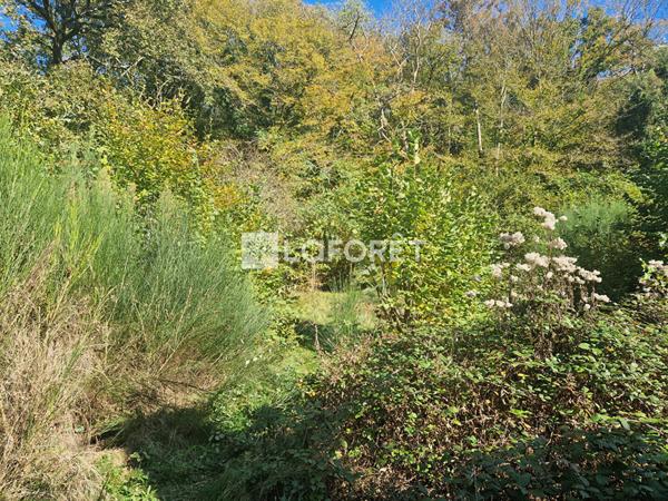 Achat maison Gif-sur-Yvette - 4 pièce(s) - 66 m² - 545 000 €