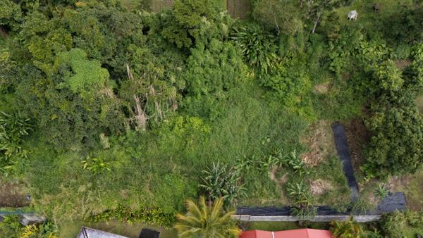 Magnifique terrain vue mer