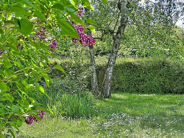 Maison fonctionnelle et lumineuse avec extérieur complet ? idéale famille ou investissement