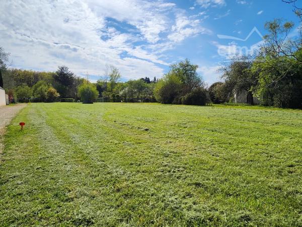 Terrain constructible de 1350m² à vendre au Crétet à St Eloy de Gy (18110).