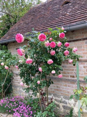 ENTRE ST PIERRE/DIVES ET LIVAROT