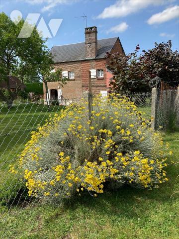 ENTRE ST PIERRE/DIVES ET LIVAROT