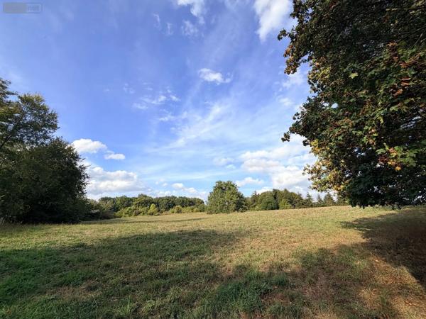 Achat - Terrain de loisirs, bois, étangs Le Mans 72000 23220 m 2