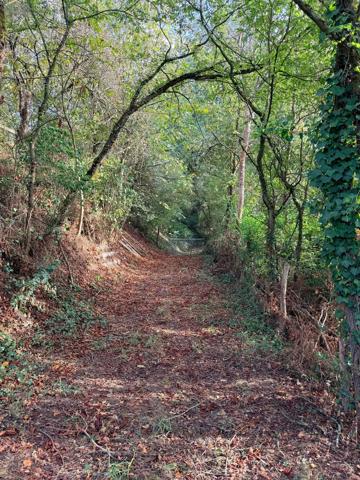 Achat - Terrain de loisirs, bois, étangs Le Mans 72000 23220 m 2