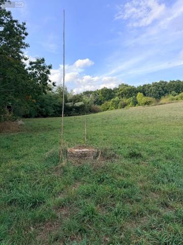 Achat - Terrain de loisirs, bois, étangs Le Mans 72000 23220 m 2