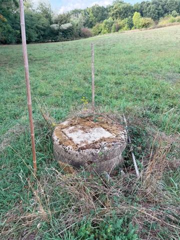 Achat - Terrain de loisirs, bois, étangs Le Mans 72000 23220 m 2