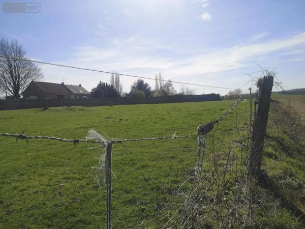 Achat - Terrain à bâtir Thun-Saint-Martin 59141 1355 m 2