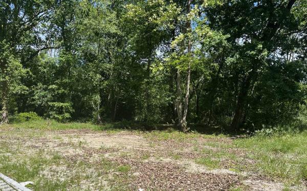 Terrain à vendre |  Blanquefort |  845 m²