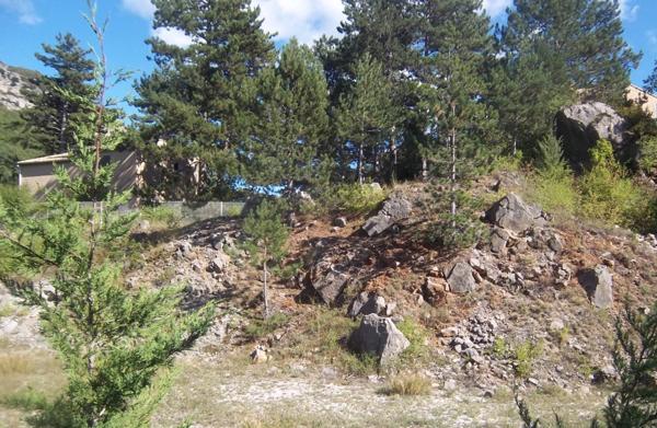 Terrain à vendre SAINT JULIEN DU VERDON (04)