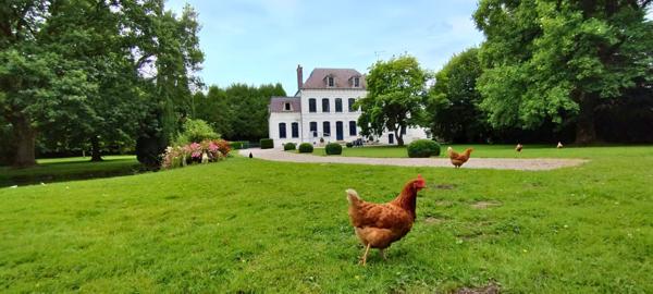 VENTE d'une propriété de 11 pièces (390 m²)