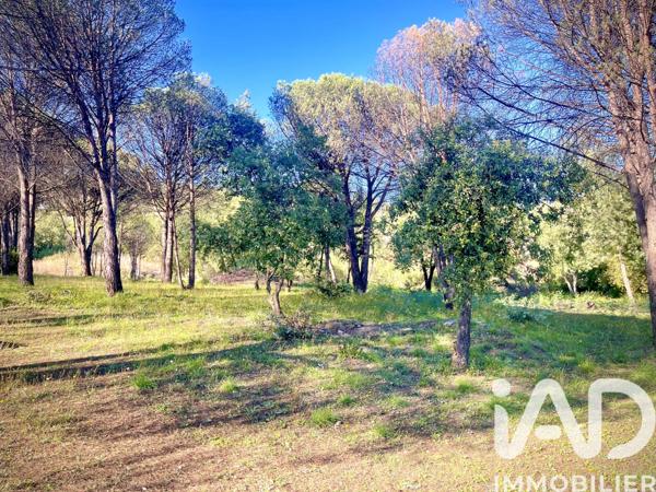 Terrain à vendre 1 413 m² Grimaud