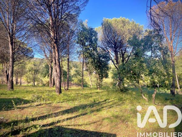 Terrain à vendre 1 413 m² Grimaud